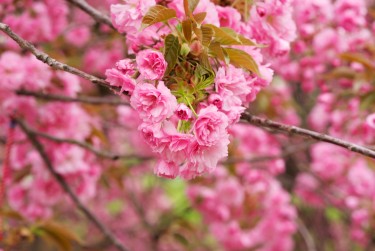 南京栖霞区线下个人借款平台一站式服务，轻松解决资金难题