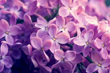 南京栖霞区企业急用钱贷款攻略：快速融资解燃眉之急